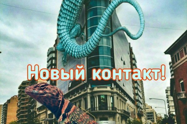 Kraken найдется все