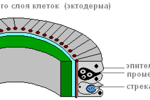 Кракен 13at