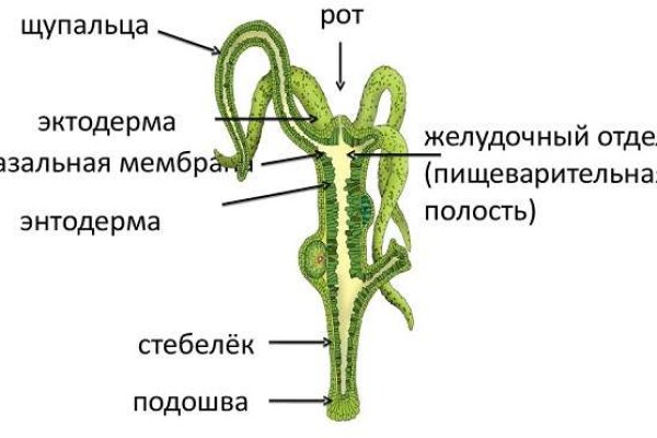 Кракен какой сайт