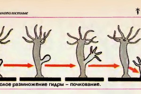 Как пополнить кошелек на кракене даркнет