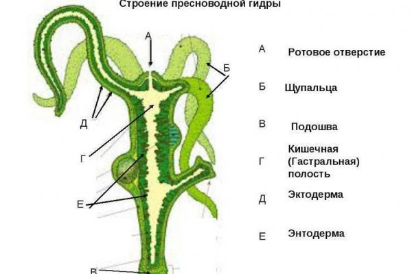 Кракен 15 сайт