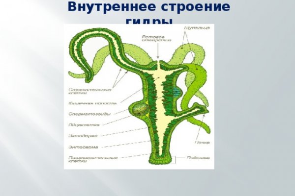 Как отличить оригинальный сайт кракена